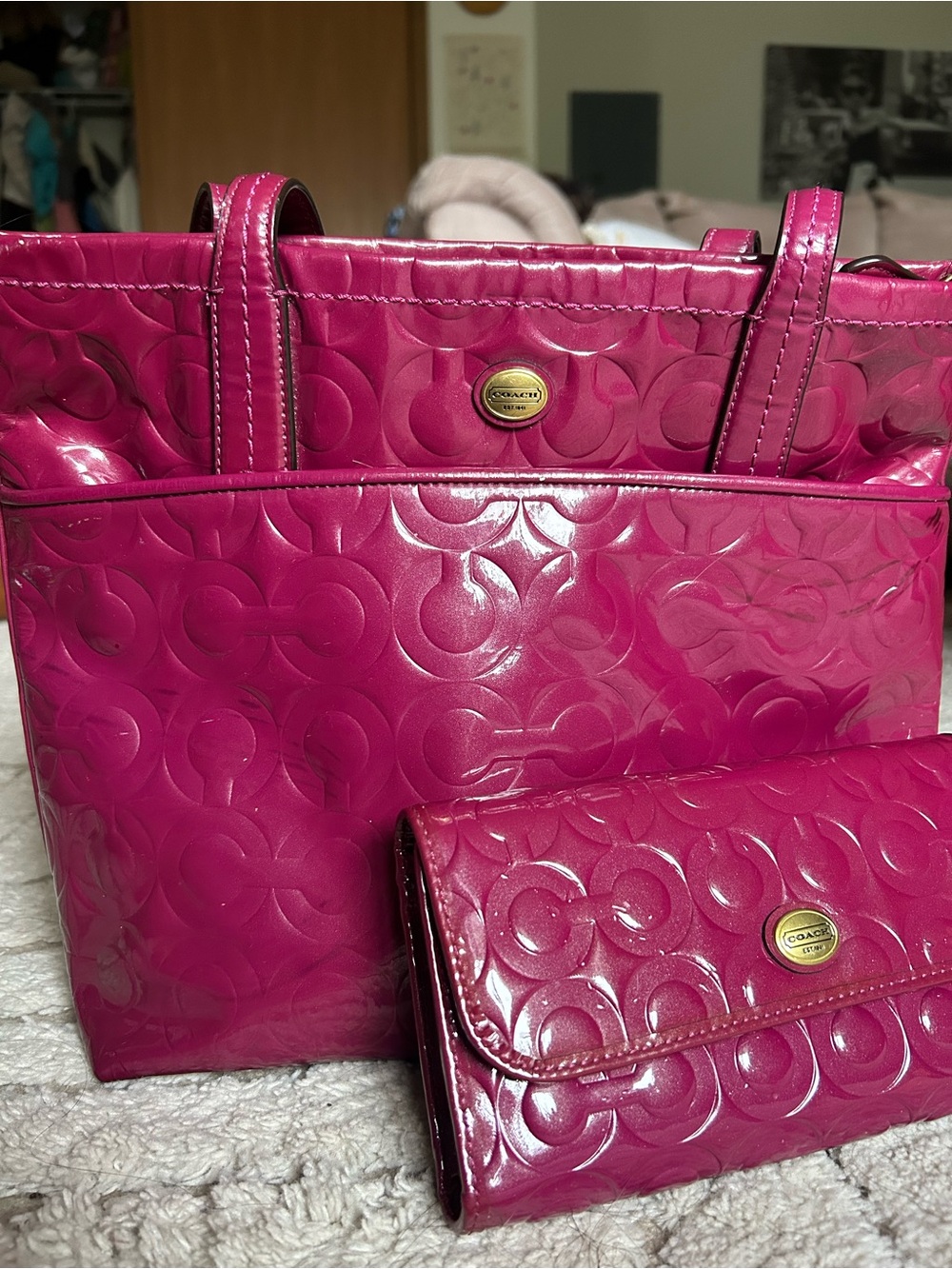 Coach Leather Tote and Wallet